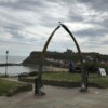 Whale Bone Arch