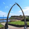 Perfect weather all day long Whitby whale jaws