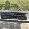 Bench in memory of Derrick Little