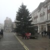 Christmas Tree in York